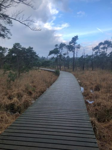 over-ons-bb-bbdebeekhoek4