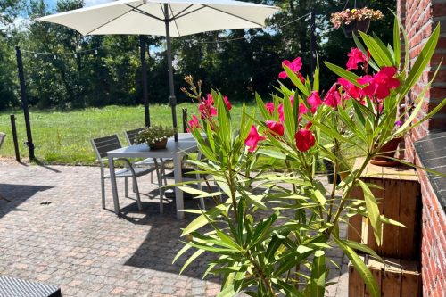 over-ons-bb-bbdebeekhoek6